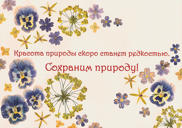 Вовлеки меня — и я научусь
