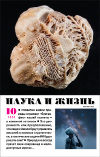 «Наука и жизнь» 2025_10(pdf)