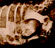 БИНТИ, 2000, №8