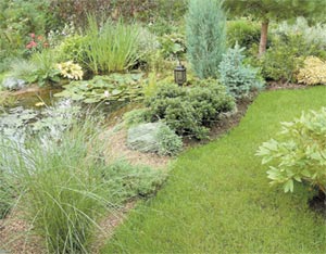 НЕ СКУЧНЫЙ САД