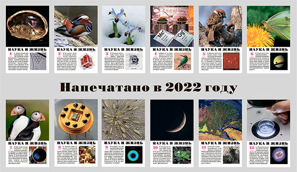 Напечатано в 2022 году