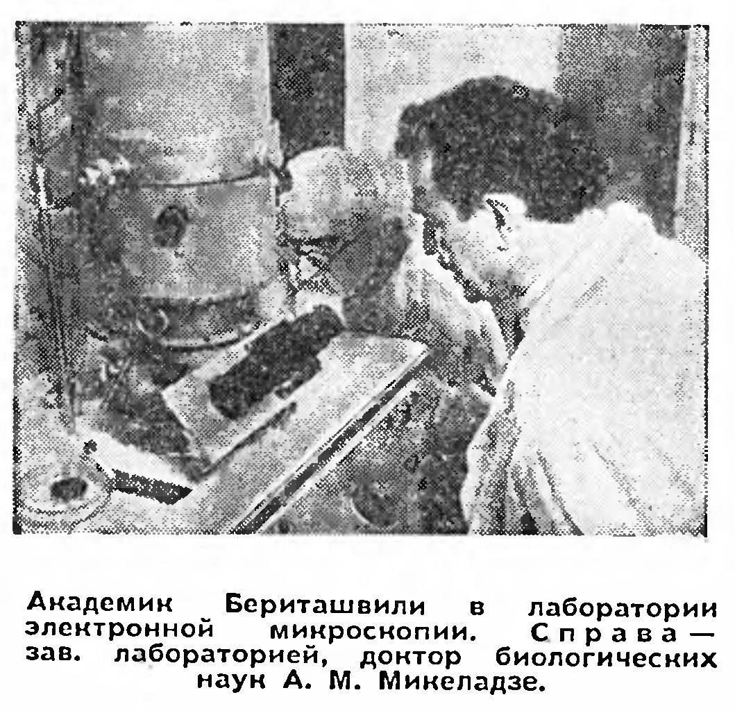 АКАДЕМИК ТРЕХ АКАДЕМИЙ