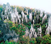 КУНСТКАМЕРА, 2002, №8