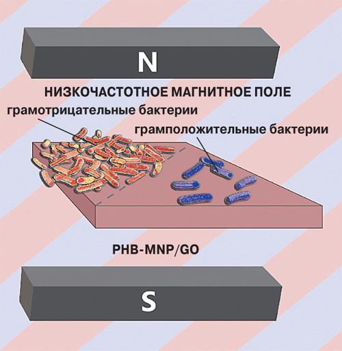 Пьезоактивные биоматериалы против бактерий