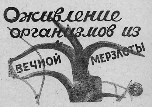 Оживление организмов из вечной мерзлоты