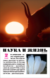 «Наука и жизнь» 2023_02(pdf)