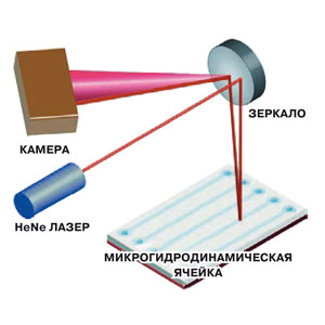 Как общаются белки? Возьмите лазер и узнайте!