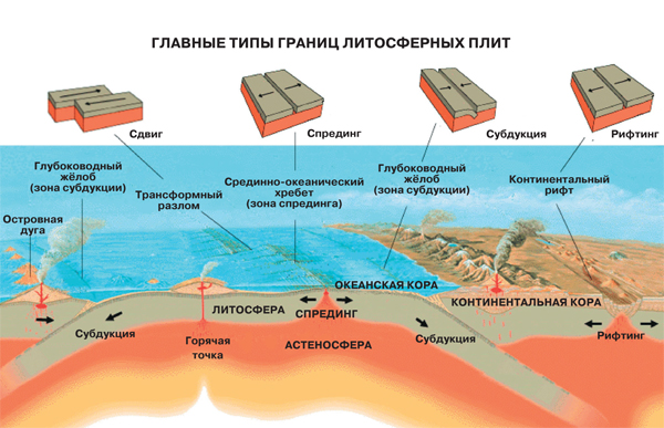 История океана, отражённая в камне