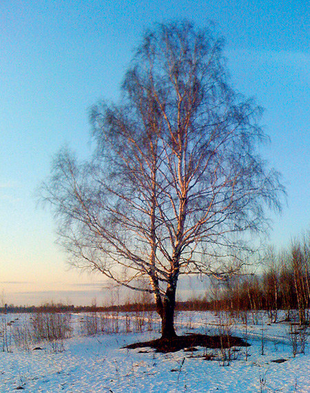 Дороги весны