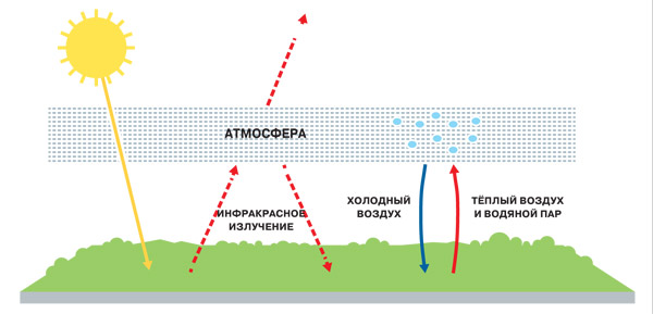 Нобелевские премии 2021 года. Награда за новые подходы в физике сложных систем