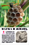 «Наука и жизнь» 2023_04(pdf)