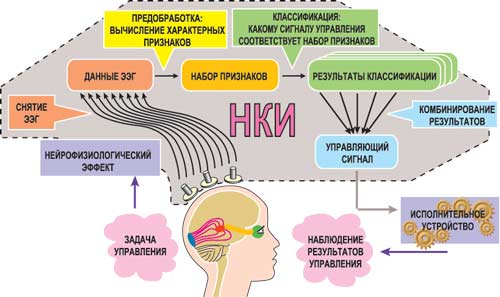 ПО МОЕМУ ХОТЕНЬЮ... БЕРЛИНСКИЙ НЕЙРО-КОМПЬЮТЕРНЫЙ ИНТЕРФЕЙС