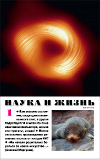 «Наука и жизнь» 2025_01(pdf)