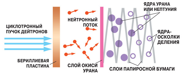Экзотическая ядерная физика для любознательных