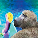 ВЕСТИ ИЗ ИНТЕРНЕТА, 2003, №11