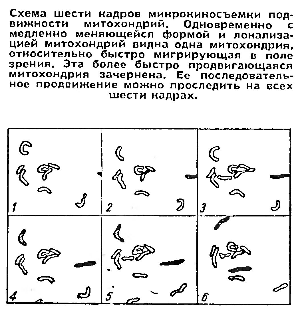 "ЛУНОХОД-1" ОТКРЫВАЕТ ЭПОХУ САМОХОДНЫХ КОСМИЧЕСКИХ РОБОТОВ