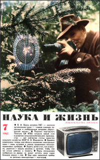 07
