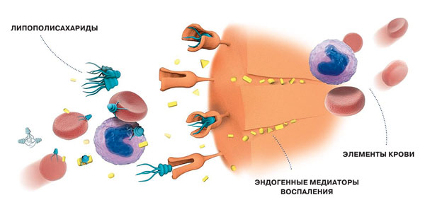 Бюро научно-технической информации. Декабрь 2019 №12