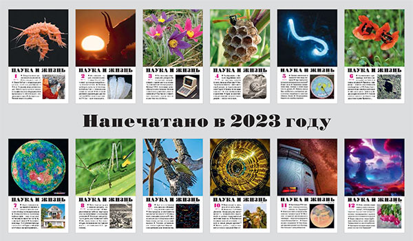 Напечатано в 2023 году