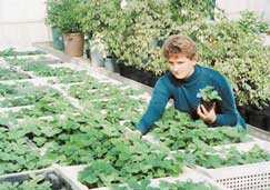 САД ИЗ ТЫСЯЧИ СОРТОВ