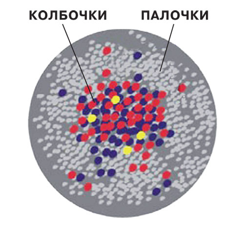 Чтение на скорость