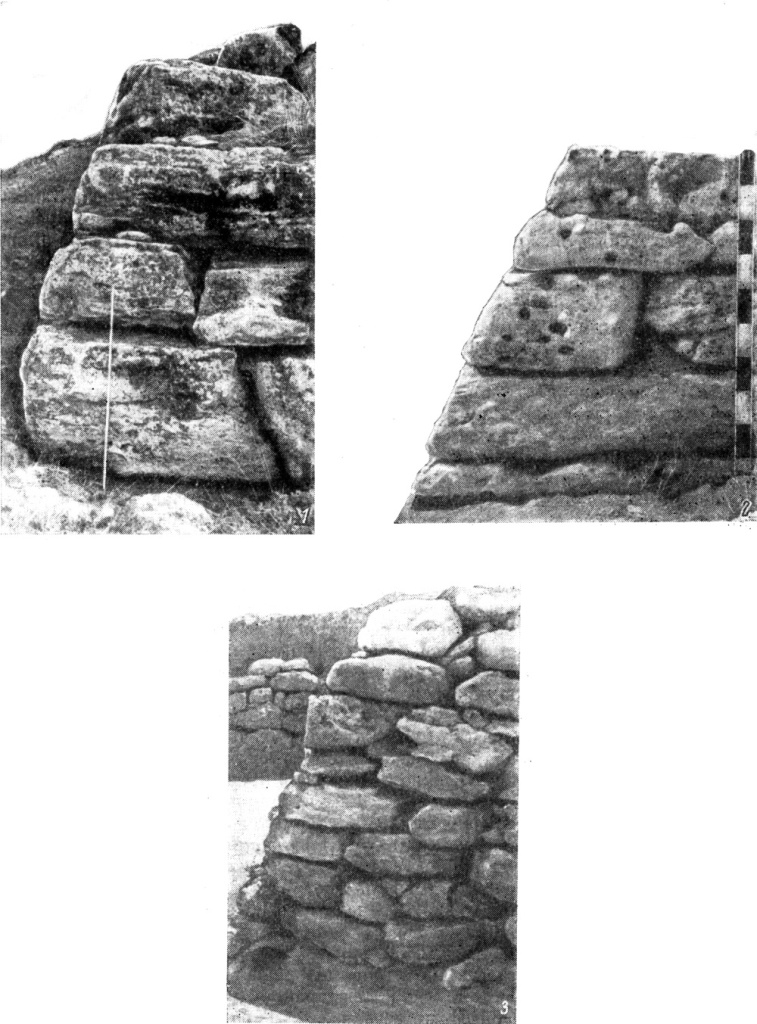 6.-Беляус-и-Тарпанчи_1000.jpg