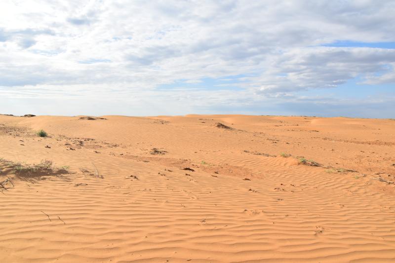 DSC_0204.JPG
