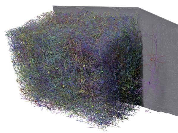 032_3.jpg
