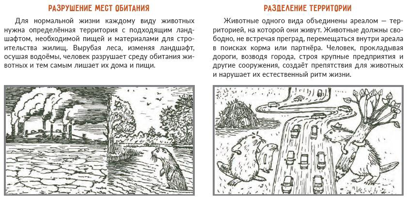 pages.jpg pages.jpg