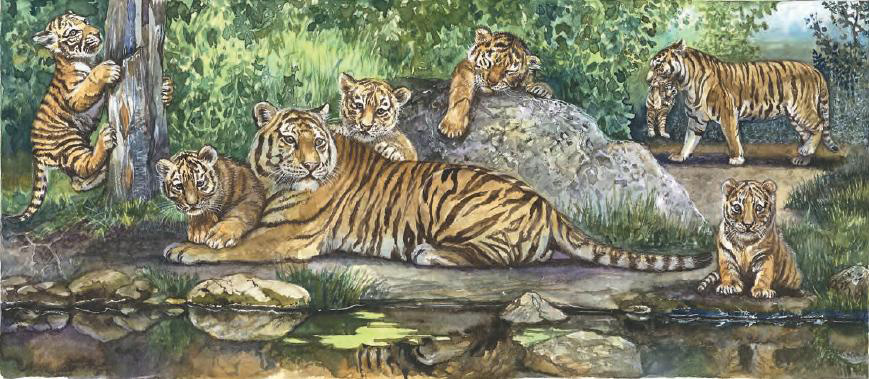tigers.jpg tigers.jpg