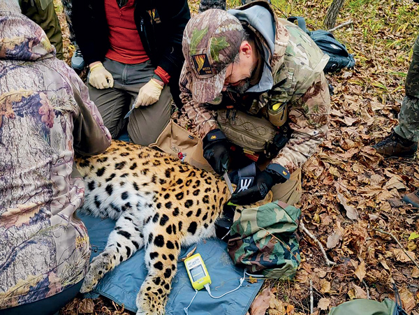 053_4.jpg