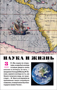 №3,2026