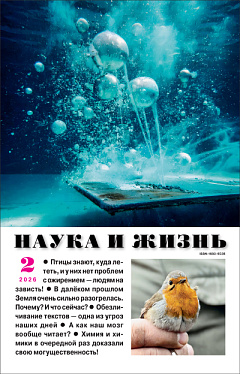 №2,2026