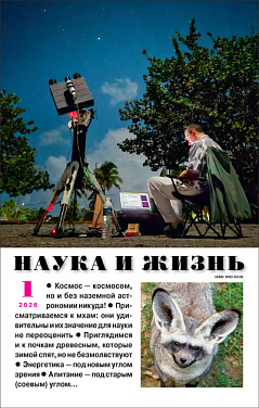 «Наука и жизнь» 2026_01(pdf)