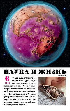 «Наука и жизнь» 2026_06(pdf)